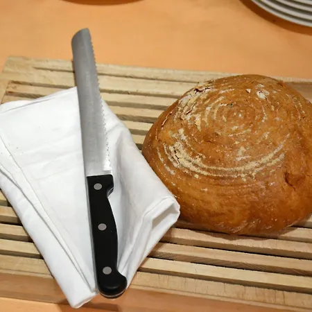 Felicity Garni ブラチスラヴァ